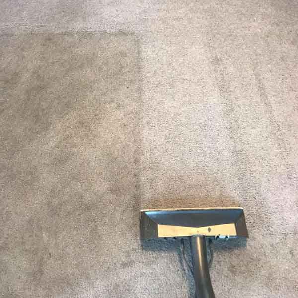 Carpet Cleaning Service